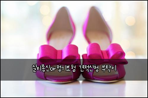 ์ค๋น์ข
์ or์ ๊ธฐ๋ณดํ ๊ฒฌ์ ์ ์ฒญ ๋ถํ์ด