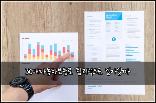 30대자동차보험료 합리적으로 얼마일까