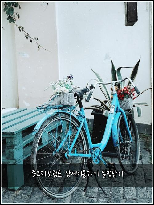 중고차보험료 상세이용하기 설명받기