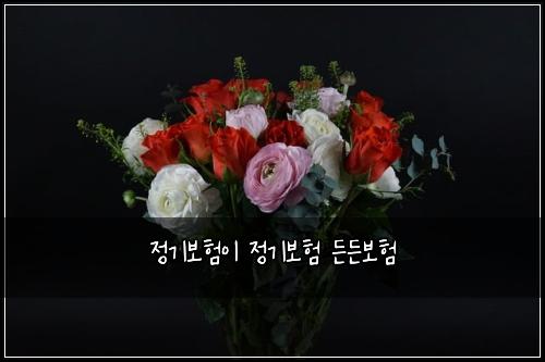 정기보험이 정기보험 든든보험