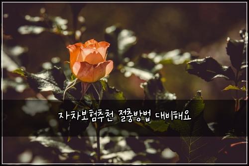 ์์ฐจ๋ณดํ์ถ์ฒ ์ ์ถฉ๋ฐฉ๋ฒ ๋๋นํด์