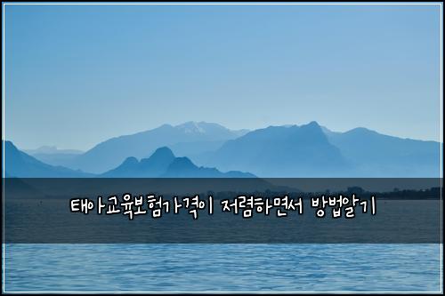 태아교육보험가격이 저렴하면서 방법알기