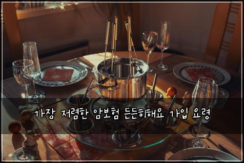 가장 저렴한 암보험 든든히해요  가입 요령
