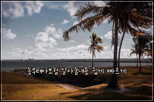 동부태아보험 알아둘내용  쉽게 빠르게