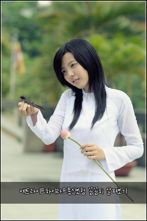 메트라이프하이라프종신보험 꼼꼼히 살펴보기