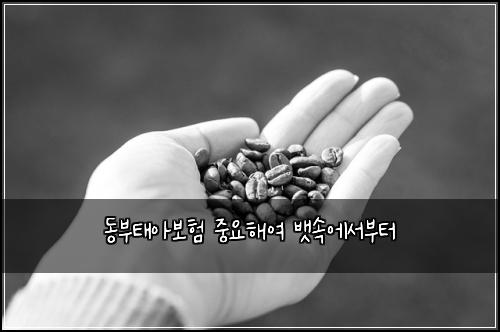 동부태아보험 중요해여  뱃속에서부터