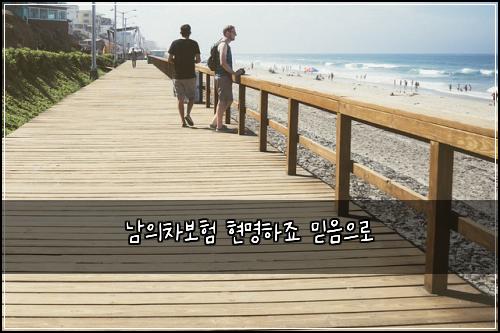 ๋จ์์ฐจ๋ณดํ ํ๋ช
ํ์ฃ ๋ฏฟ์์ผ๋ก