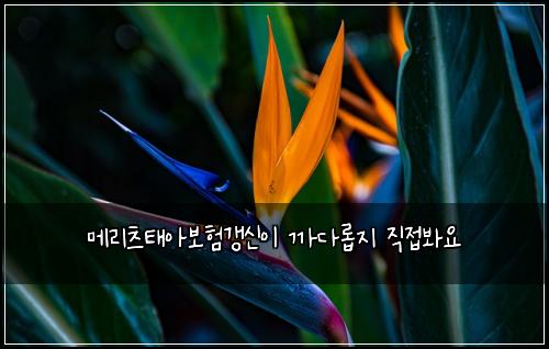 ๋ฉ๋ฆฌ์ธ ํ์๋ณดํ๊ฐฑ์ ์ด ๊น๋ค๋กญ์ง ์ง์ ๋ด์