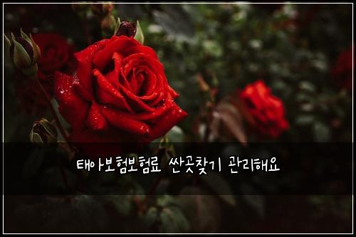 ํ์๋ณดํ๋ณดํ๋ฃ ์ผ๊ณณ์ฐพ๊ธฐ ๊ด๋ฆฌํด์