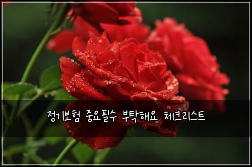 정기보험 중요필수  부탁해요 체크리스트