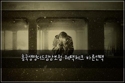 흥국생명더드림암보험 혜택체크  바른선택
