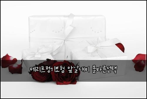 ๋ฉ๋ฆฌ์ธ ์ ๊ธฐ๋ณดํ ์๋ ๋๋น ์ฌ๋ฐ๋ฅธ์ ํ