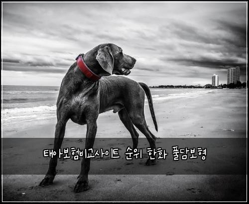 ํ์๋ณดํ๋น๊ต์ฌ์ดํธ ์์ ํํ ํ๋ด๋ณดํ