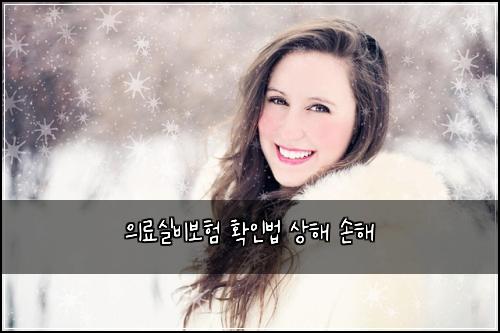 ์๋ฃ์ค๋น๋ณดํ ํ์ธ๋ฒ ์ํด ์ํด