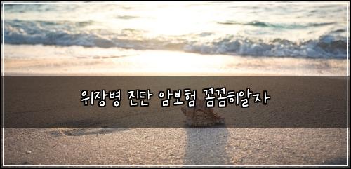 ์์ฅ๋ณ ์ง๋จ ์๋ณดํ ๊ผผ๊ผผํ์์