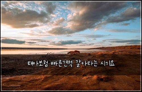 태아보험 빠른견적  갈아타는 시기요