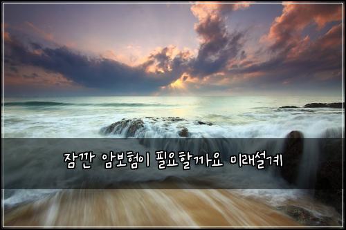 ์ ๊น ์๋ณดํ์ด ํ์ํ ๊น์ ๋ฏธ๋์ค๊ณ