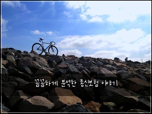 꼼꼼하게 분석한 종신보험 이야기