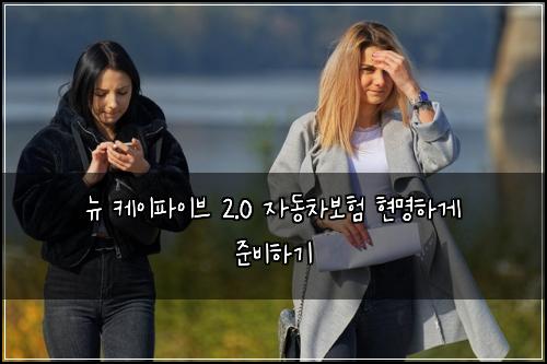 뉴 케이파이브 2.0 자동차보험 현명하게 준비하기