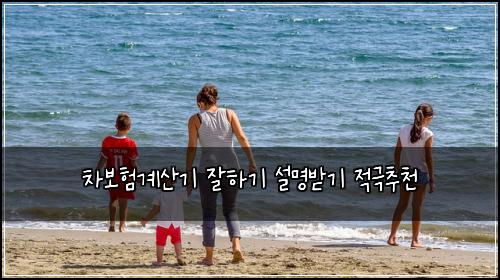 ์ฐจ๋ณดํ๊ณ์ฐ๊ธฐ ์ํ๊ธฐ ์ค๋ช
๋ฐ๊ธฐ ์ ๊ทน์ถ์ฒ