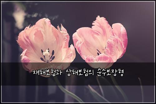 ์ฌํด๋ณดํ๊ณผ ์ํด๋ณดํ์ ์์๋ณด์ฅํ