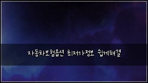 자동차보험옵션 최저가정보 쉽게해결