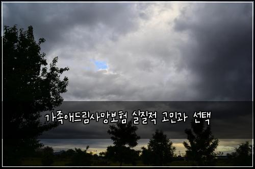 가족애드림사망보험 실질적 고민과 선택