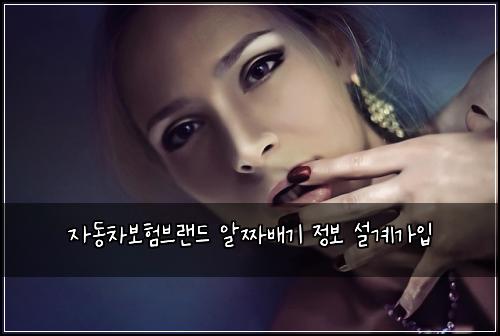 자동차보험브랜드 알짜배기 정보 설계가입