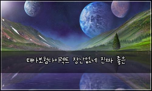 ํ์๋ณดํ๋ค์ด๋ ํธ ์ฅ๋์๋ค ์ง์ง ์ข์