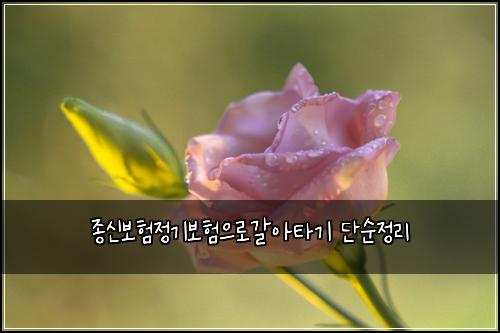 종신보험정기보험으로갈아타기 단순정리