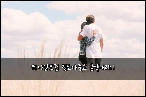 하나암보험 정보가중요  금액내리기