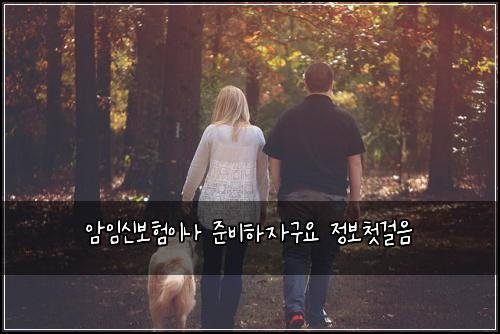 μμμ 보νμ΄λ μ€λΉνμꡬμ μ 보첫걸μ