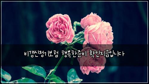 비갱신정기보험 행복한준비  확인지금입니다