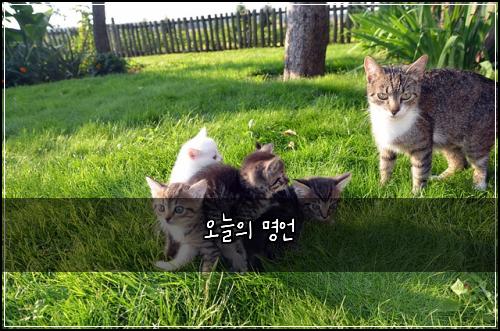 오늘의 명언
