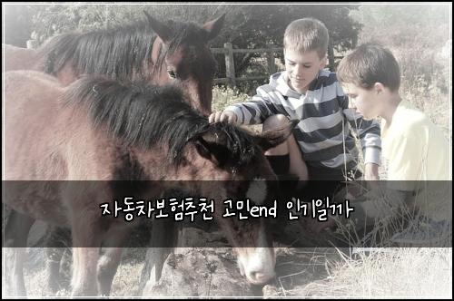 자동차보험추천 고민end 인기일까