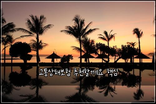 교통상해보험 추천할께요  핵심