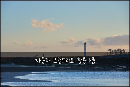 ์๋์ฐจ ๋ณดํ๋๋ ค์ ํ์ฉ๋๋ฆ