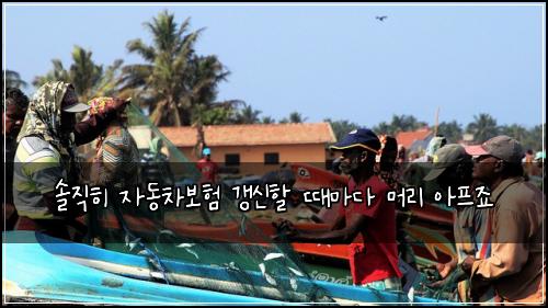 솔직히 자동차보험 갱신할 때마다 머리 아프죠