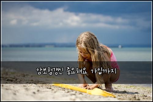 암보험갱신 중요해요 가입까지