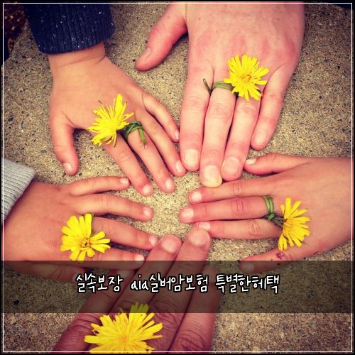 실속보장 aia실버암보험 특별한헤택 