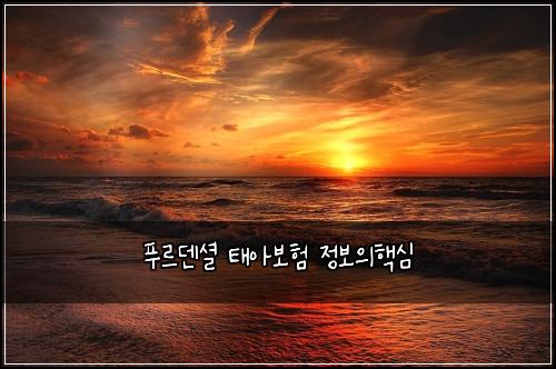 ํธ๋ฅด๋ด์
ํ์๋ณดํ ์ ๋ณด์ํต์ฌ