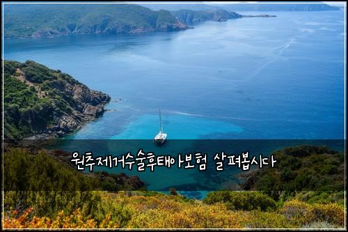 원추제거수술후태아보험 살펴봅시다 
