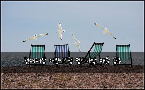 현대해상 어린이보험 정보파악  대물 동부