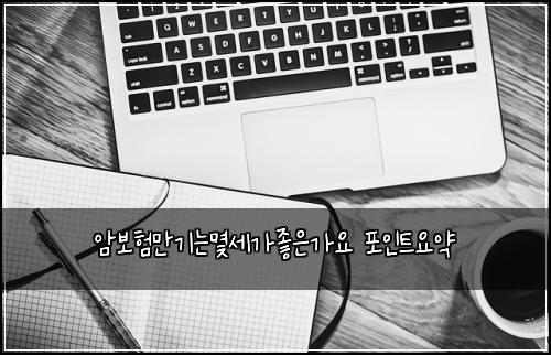 암보험만기는몇세가좋은가요 포인트요약