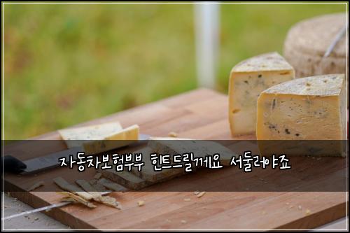 ์๋์ฐจ๋ณดํ๋ถ๋ถ ํํธ๋๋ฆด๊ป์ ์๋๋ฌ์ผ์ฃ