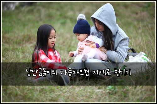 낭만곰돌이의 자동차보험 제대로 챙기기