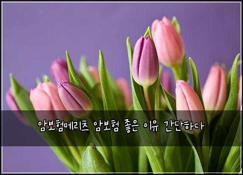 ์๋ณดํ๋ฉ๋ฆฌ์ธ ์๋ณดํ ์ข์ ์ด์ ๊ฐ๋จํ๋ค