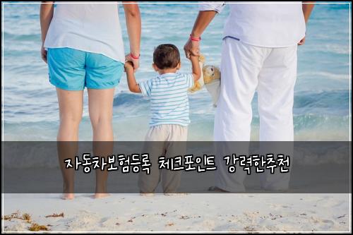 ์๋์ฐจ๋ณดํ๋ฑ๋ก ์ฒดํฌํฌ์ธํธ ๊ฐ๋ ฅํ์ถ์ฒ