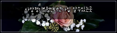 사망정기보험인터넷가입 알수있는곳