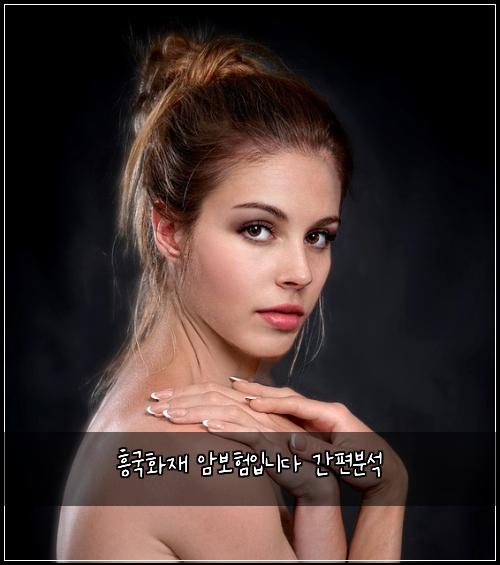 흥국화재 암보험입니다 간편분석